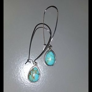 Silver and blue earrings